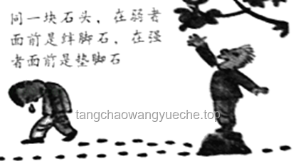 如何摆脱被视为弟弟备用器官的困境，展现武道天才本色
